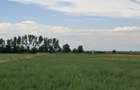 Teren extravilan de Vanzare in PRECISTANU(Garoafa)- VRANCEA - 2
