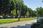 Apartament de vacanta, 2 camere, Neptun - 12
