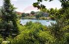 Vila la Lacul Snagov deschidere 21 ml, ponton propriu - 10