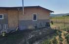 Vand Cabana din lemn - 6