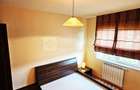 Pacurari - Canta, Complexul Dream Village, 2 camere impecabil - 4