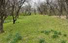 Teren de vanzare in Comarnic - 4