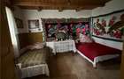 Casa cu teren 5.913 mp de vanzare in Paltin, Vrancea - zona pitoreasca
