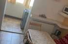 Apt 2 camere curte si garaj - 2