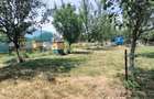 Teren 3100 mp cabana potential investitional Sura Mica Sibiu - 17