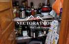 NECTORA IMOB-Apartament 3 camere, Recent Renovat, 74mp, Mobilat/Utilat - 1