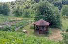 Casa Naturala in Transilvania