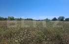 Teren de vanzare, 3000 mp, zona Dumbrava - 2