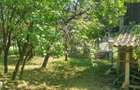 Casa cu 2 camere, teren 3000 mp, padure - 8