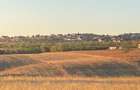Teren de 700 mp, în Paleu - 2