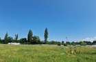 Teren intravilan de vanzare | 954 mp | Cartier Tractorul, Brasov - 3
