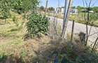 vind teren intravilan - 3