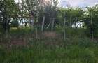 Vand CLADIRE in constructie cu teren 2834 mp cu fundatie de lung de 49.54 in loc Fegernic nr 220 - 1