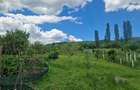 Cafrom Imobiliare - Teren de vanzare - Slanic PH (Prajani) - 7