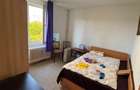APARTAMENT 3 CAMERE - DRUMUL TABEREI