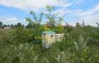 Teren 350 MP Intravilan Deschidere 16MP Vidra - 6