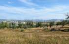 Teren intravilan de vanzare, 1400 mp, zona Zavoi