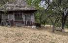 Vand teren, casa si grajd lemn Damis - 5