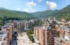 Apartament deosebit 2 camere Racadau - 14