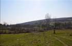 Teren Ramnicu valcea Str Macesului sub padure - 1200 mp deschidere 24 m - curent apa canal gaze - 1