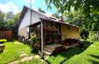 CASA INDIVIDUALA CU LIVADA | 2.195 MP TEREN | POIANA CAMPINA - 4