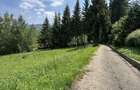 PREDEAL - STRADA PAJISTEI -  TEREN INTRAVILAN 830 MP DESCHIDERE 24 ML - 5