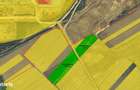 Teren 6.154 mp Sanmartin/Rontau 2 km de Centura Oradea - 5
