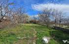 Casa de vanzare, zona str.Ecaterina Teodoroiu/Dealurile Oradiei - 5