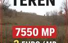 Vând teren  7550 mp  MEHADIA - 1