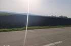 Teren extravilan, 9300mp, 55ml deschidere la drum, Satu Mare, Radauti - 1