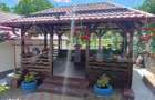 Casa de vanzare cu anexe, 35 ari teren, Adancata - 18