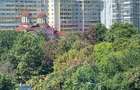Apartament cu vedere panoramica catre Parcul Plumbuita- Colentina. - 20