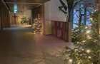 Apartament de Top in Vogh Olimp - 14