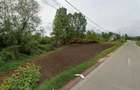 De vanzare 687/ 1374 mp teren cu utilitati pt. construire Remetea, Bihor in 2 parcele.. - 3