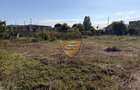 Casă cu teren de 1.400 mp – Palazu Mare