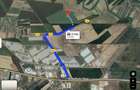 TEREN DE VANZARE IN ULMI, GIURGIU, A1 - KM 23 33.334 m2 | optional 66.667 m' - 2