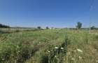 Teren intravilan in Izvorani Delta Snagov