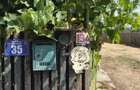 Vand casa batranesaca si teren in Leordeni, Arges, sat Cilulnita - 15
