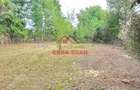 Teren intravilan in Banesti--2093mp--59.000e - 1