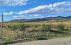 Teren in Coplean intravilan - 2