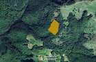 De vanzare teren extravilan 8,2037 ha padure ?i pa?une Borod, Bihor - 6