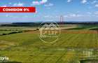 Teren Intravilan 20.000 mp Creata Dascalu, T66 dubla deschidere - 2
