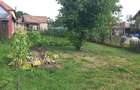 Vand teren INTRAVILAN 730 m2 Cisnadie - 4