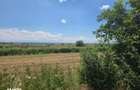 Teren Extravilan cota parte 3/16, Prundu, ID: R3316920
