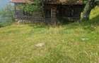 Teren intravilan de vanzare, 26.000 mp, Bulz, Bihor,Gaminvest,V4693 - 2