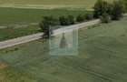 Teren intravilan 50000 mp, cu PUZ, Aprobat - zona Halchiu... - 1