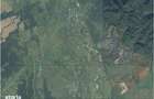 Teren extravilan 95.23 ha langa Caransebe?