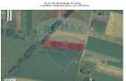 Teren de vanzare 8,800mp Santion, Bors - 6