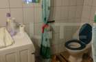 Apartament la casa, zona centrala, 100 mp utili, Radauti - 7