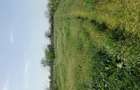 Vand teren intravila , zona case de vacante - 5